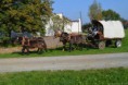 /album/foto1/dsc-0135-28-jpg/